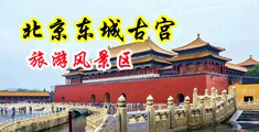 色污美穴视频中国北京-东城古宫旅游风景区