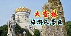大鸡巴插黑丝骚货中国浙江-绍兴大香林旅游风景区